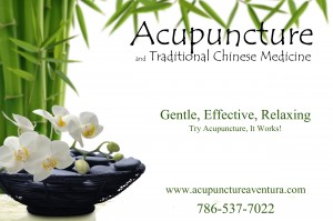 Acupuncture and Traditional Chinese Medicine in Aventura Florida