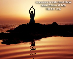 Acupuncture in Golden Beach Florida